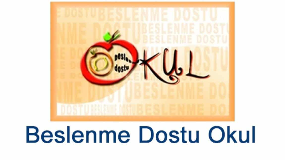 BESLENME DOSTU OKUL PROJESİ NEDİR?